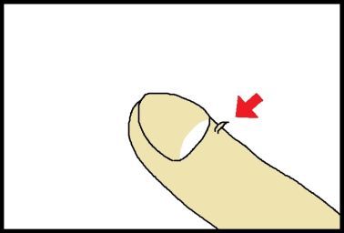 moroの家族と、ハンドメイドと。