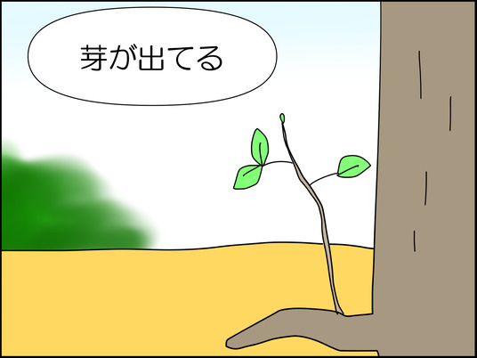 イラスト_005