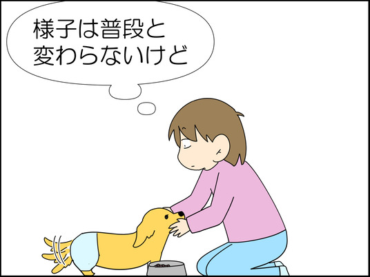イラスト_005
