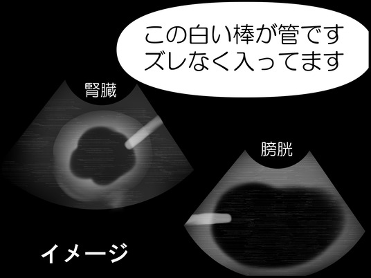 イラスト_012
