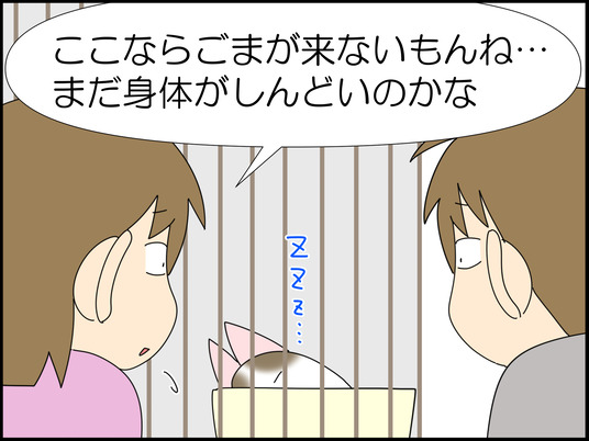 イラスト_021