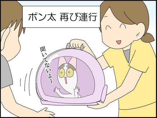 イラスト_085
