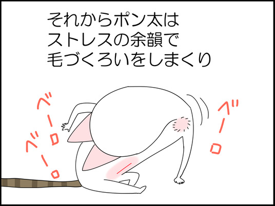 イラスト_008
