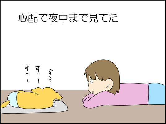 イラスト_074