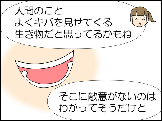イラスト_006