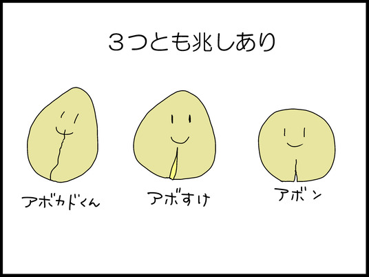 ブログ0006