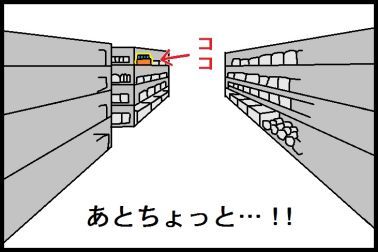 moroの家族と、ハンドメイドと。