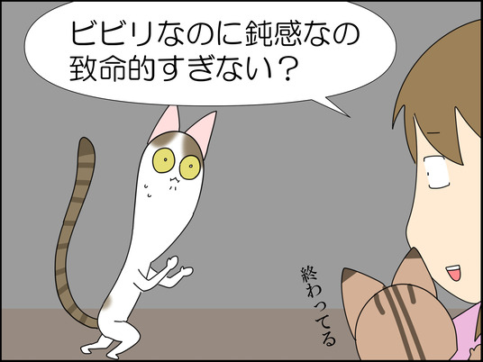 イラスト_013