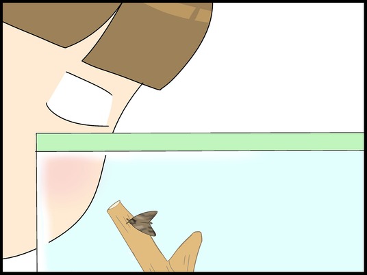 ブログ0006