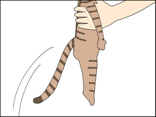 イラスト_005