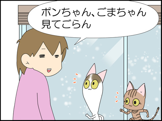 イラスト_003