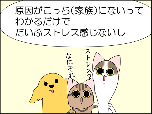 イラスト_050