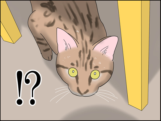 イラスト_020