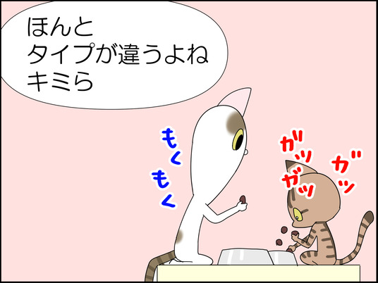 イラスト_013