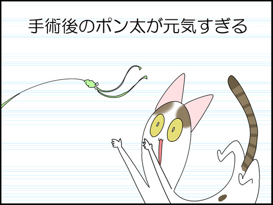 イラスト_001