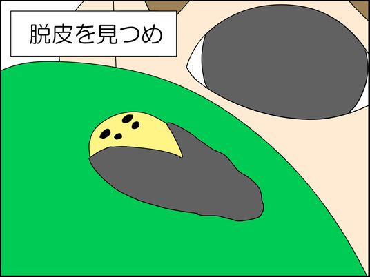 イラスト_004