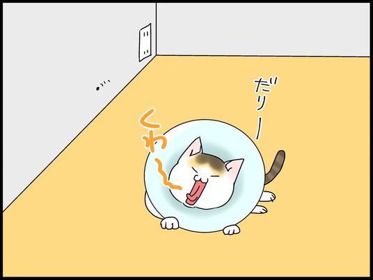 ブログ0006