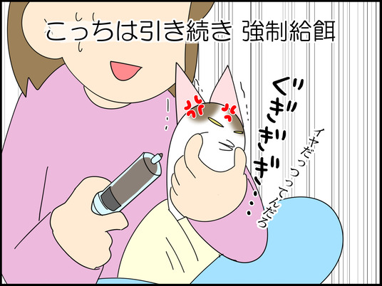 イラスト_002