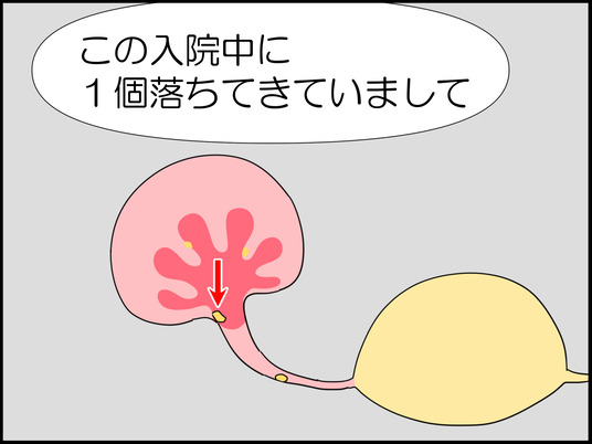 イラスト_027
