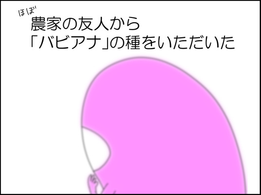 イラスト_001