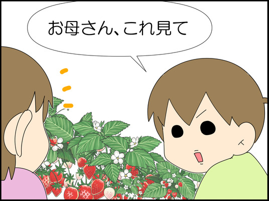 イラスト_016