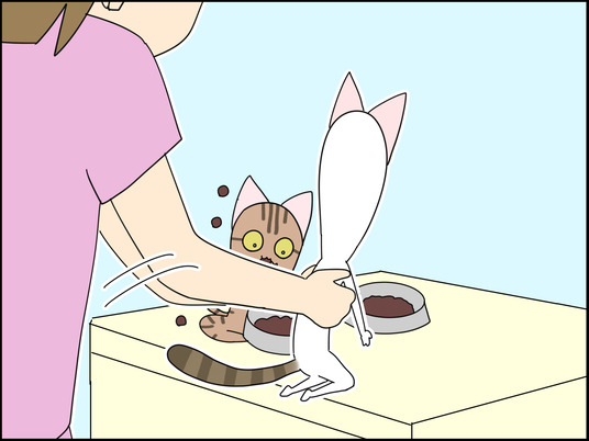 イラスト_012