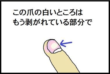 moroの家族と、ハンドメイドと。