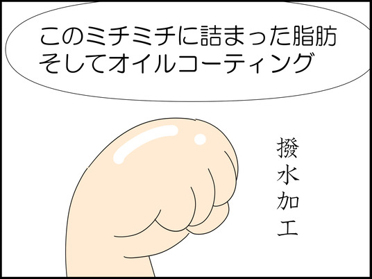 イラスト_005