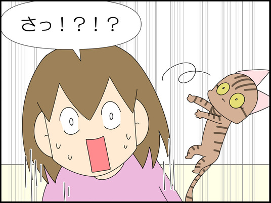 イラスト_005