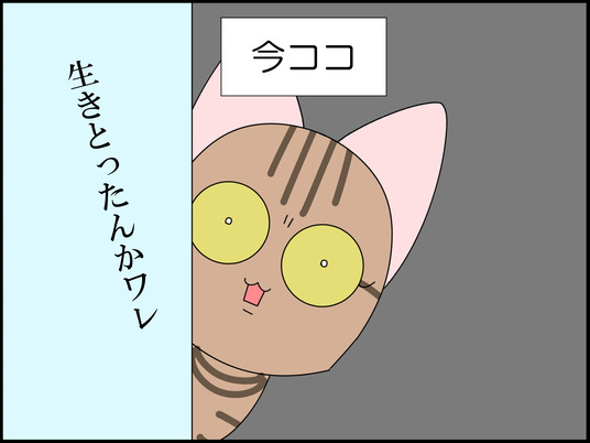 イラスト_036