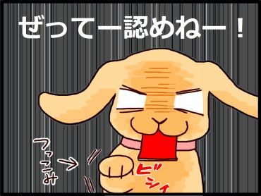moroの家族と、ハンドメイドと。