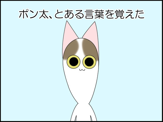 イラスト_001