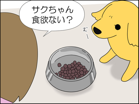 イラスト_004