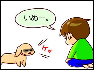 moroの家族と、ハンドメイドと。