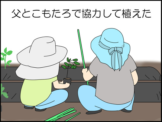 イラスト_004