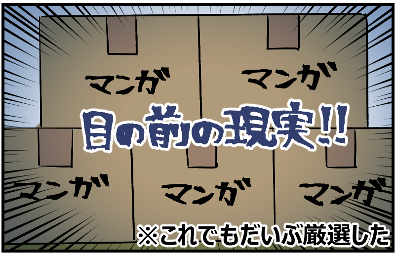 これでもだいぶ厳選した