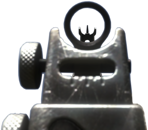 FAD_iron_sights_CoDG