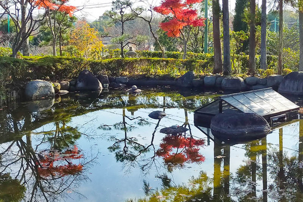 飯盛霊園紅葉-2112015