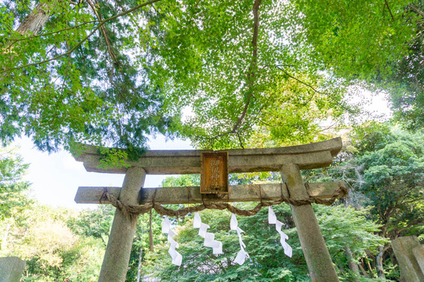御机神社紅葉-21102816