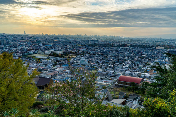観察の森-2112061