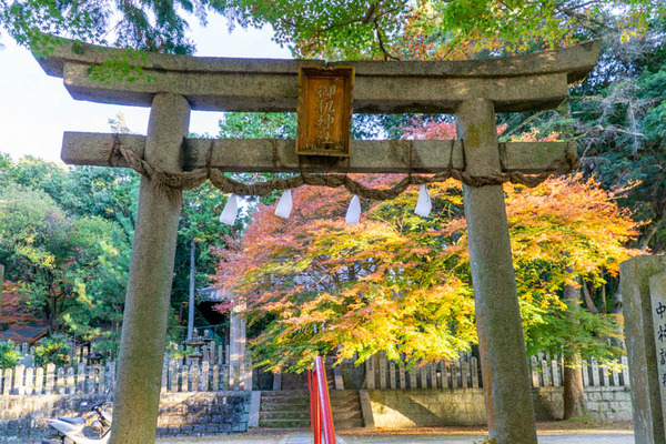 御机神社紅葉-2111292