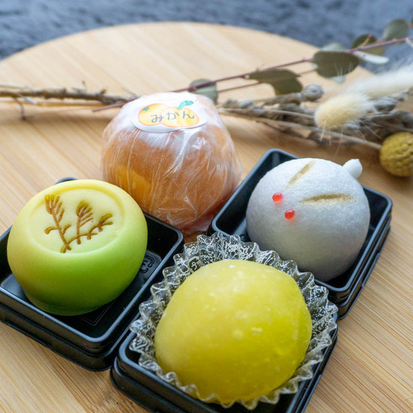 栄久堂吉宗-21092111