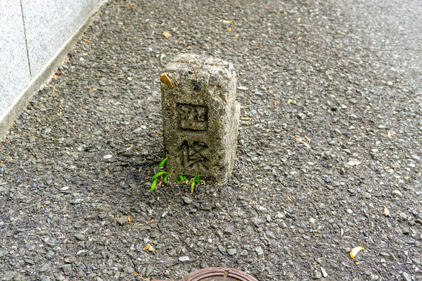 埋まる四條畷-2106242