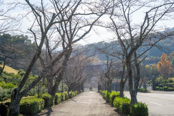 飯森霊園-2111196