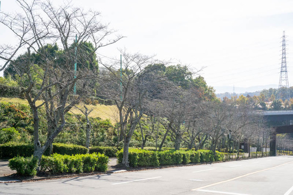 飯森霊園-2111192