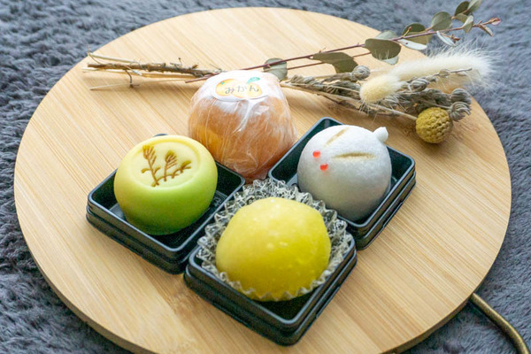 栄久堂吉宗-21092113