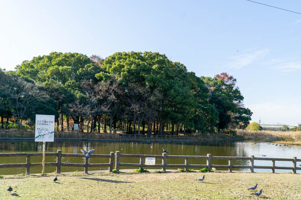 深北緑地かっぱ-2112168