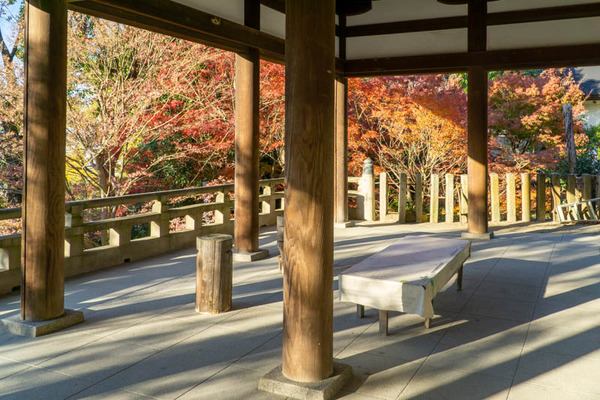 四條畷神社紅葉-2111295