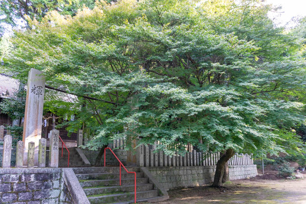 御机神社紅葉-21102815