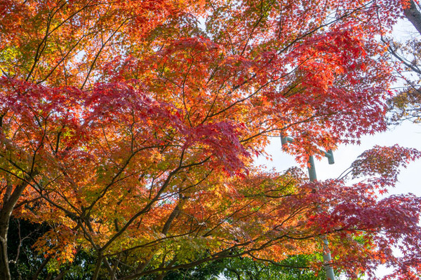 飯盛霊園-2111191